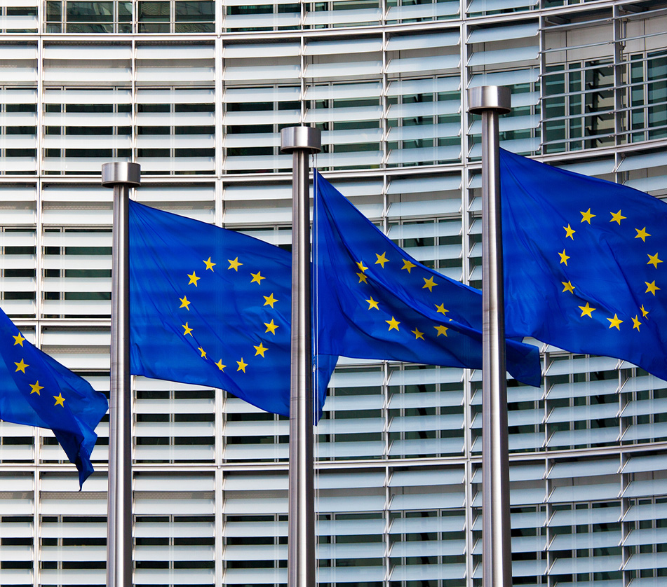 European Flags Outside Offices