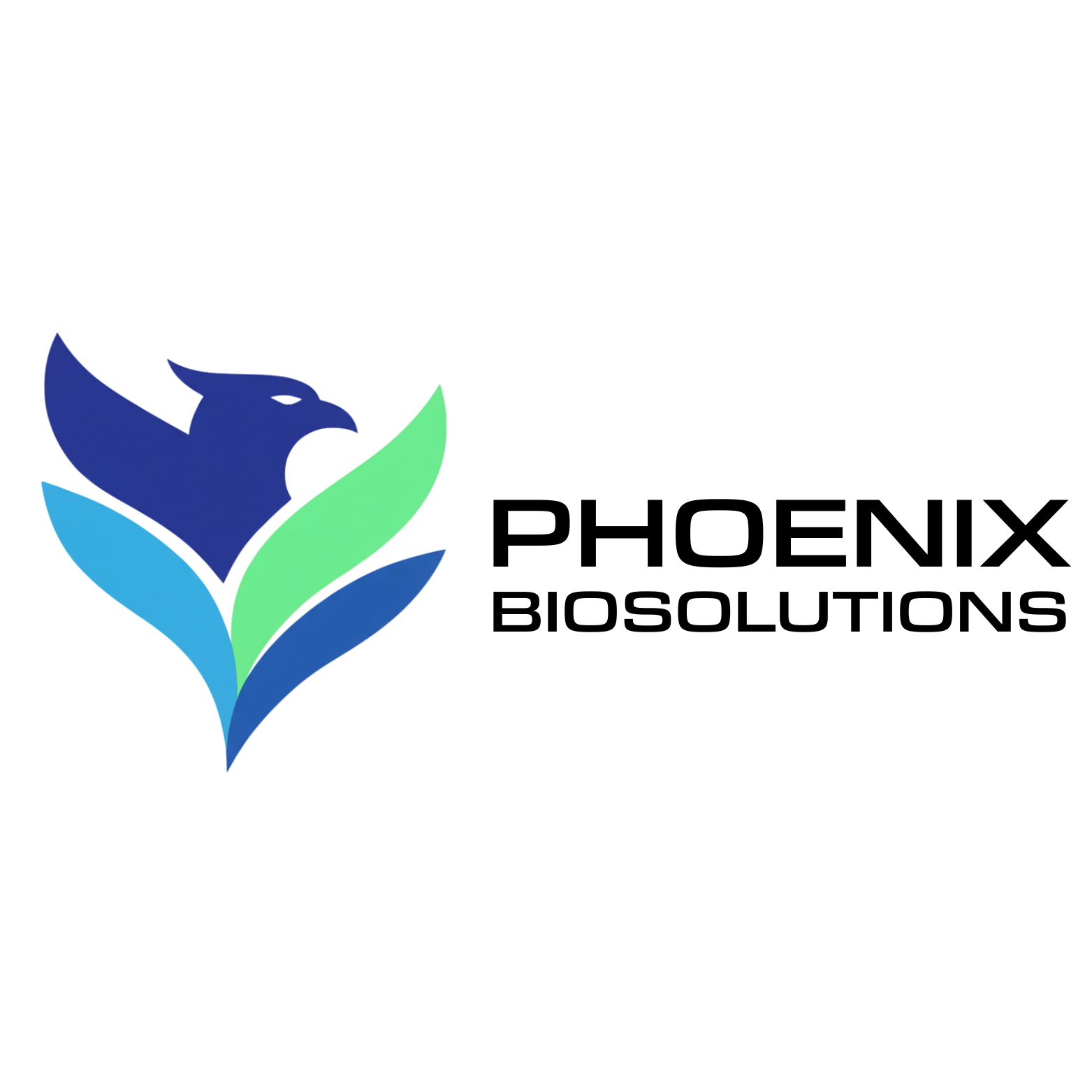EBIC member: Phoenix Biosolutions