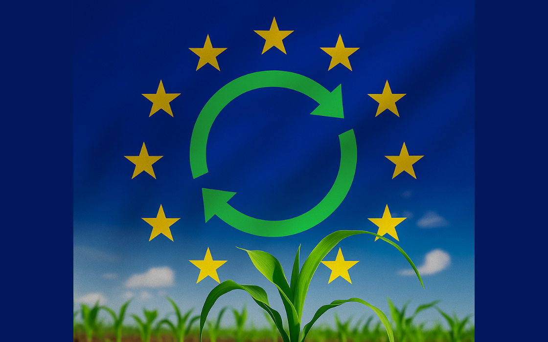 circular economy