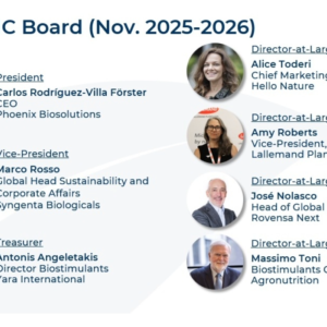 New EBIC Board 2025-2026